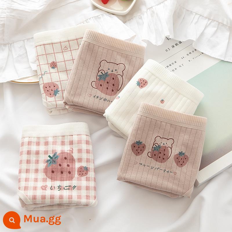 Đồ lót cotton nguyên chất cho bé gái, bé trai lớn, học sinh, quần đùi boxer tam giác trẻ em, bé gái 100% cotton không PP - Tinh bột củ sen dâu gấu (5 hình tam giác)