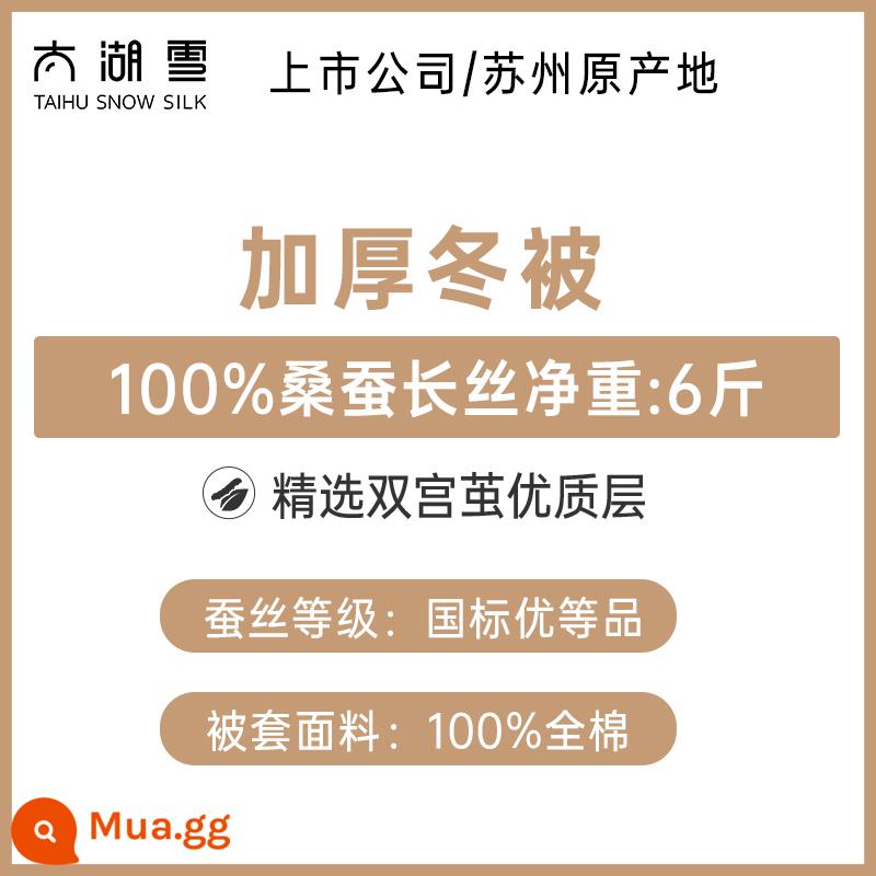 Taihu Chăn bông lụa tuyết Lõi chăn mùa thu đông 100% sợi tơ tằm Chăn bốn mùa Chăn mẹ hai trong một Qinrou chính hãng - [Chăn mùa đông] 100% sợi tằm trọng lượng tịnh 6 pound