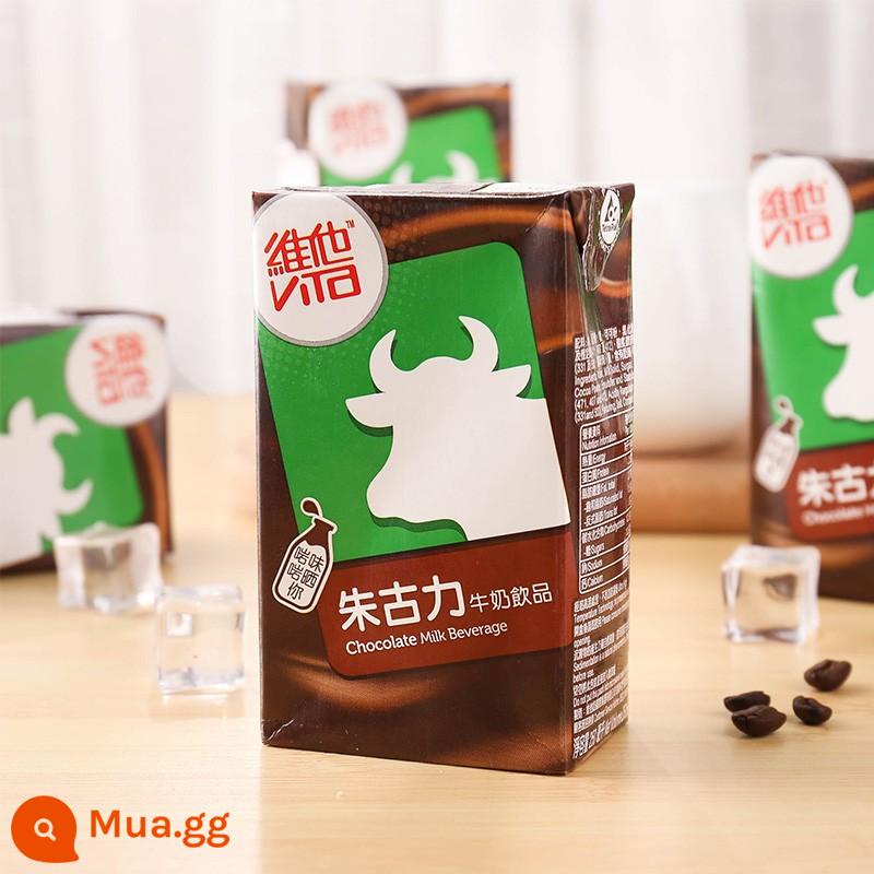 Sữa Vita Vita Bull Head Socola Sữa Uống Socola Sữa 250ml*6 hộp nhập khẩu từ Hồng Kông - hương vị sô cô la