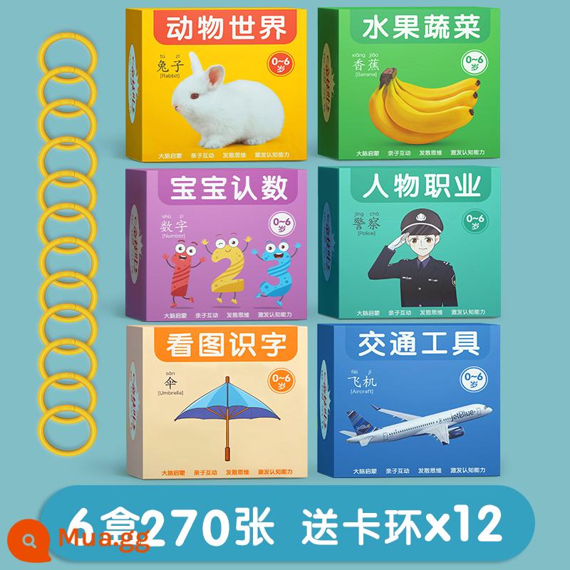 Thẻ động vật giáo dục sớm nhận thức trẻ em biết đọc biết viết hình ảnh kiến thức giác ngộ cuốn sách trẻ sơ sinh biết chữ đồ chơi giáo dục - [6 hộp] Động vật + Trái cây và rau quả + Nhận dạng số + Ký tự + Vận chuyển + Biết chữ (540 mẫu trên thẻ lớn dày)