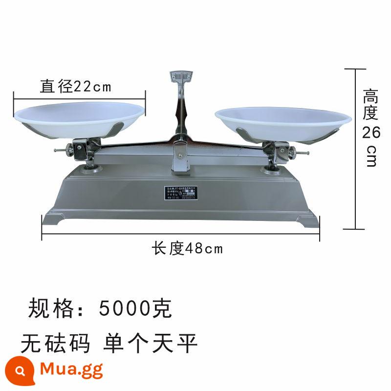 Đầu ngựa JYT khay cân bằng máy trợ giảng học sinh giá đĩa cân bằng máy móc gọi là 100g200g500g2kg5k thí nghiệm - 5kg không có tạ