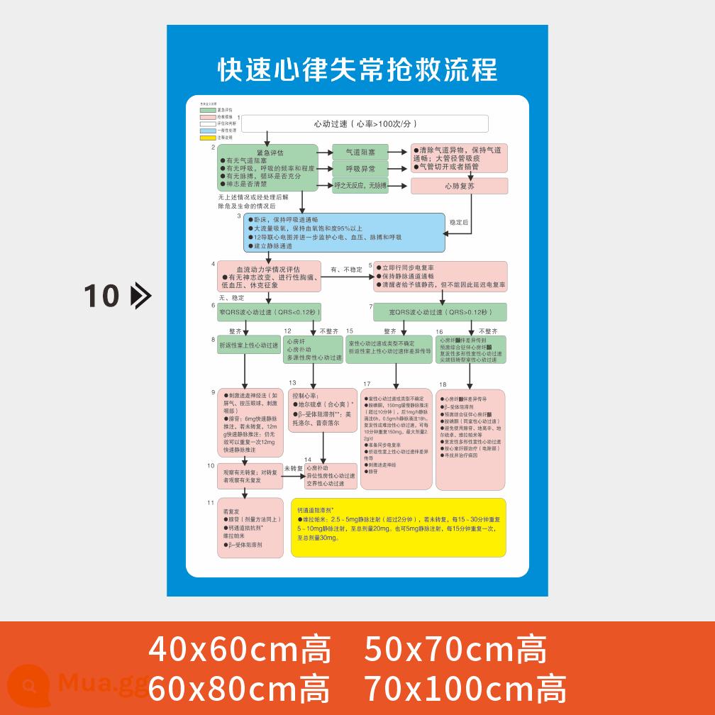 Phòng cấp cứu bệnh viện quy trình các bước sơ đồ treo tranh sơ đồ phản ứng sốc phản vệ hồi sức tim phổi sơ đồ cấp cứu - y01-Hình ảnh cứu hộ bệnh viện (10)