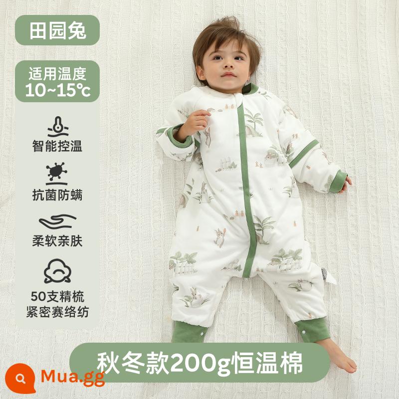 Túi ngủ cho bé Jingqi mùa xuân, mùa thu và mùa đông kẹp tóc trẻ em cotton chống đá chăn dày xẻ chân cho bé cotton nguyên chất phổ biến cho tất cả các mùa - Phong cách dày mùa thu đông [nhiệt độ không đổi - nhiệt độ phòng khuyến nghị 10-15oC] Thỏ mục vụ