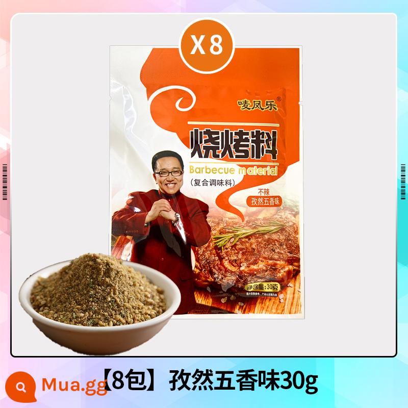 Gia vị thịt nướng Mark Fengle thịt nướng gia vị gia vị đặc biệt gói nhỏ hộ gia đình bột cá nướng thịt nướng chính thức hàng đầu cửa hàng - Thì Là Ngũ Vị Hương 30gx8 túi