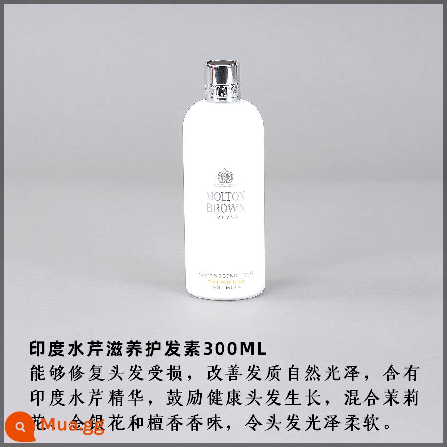 Dầu gội giàu gừng Morton Brown của Anh Dầu xả cải xoong Ấn Độ 300ml - Dầu xả cải xoong Ấn Độ