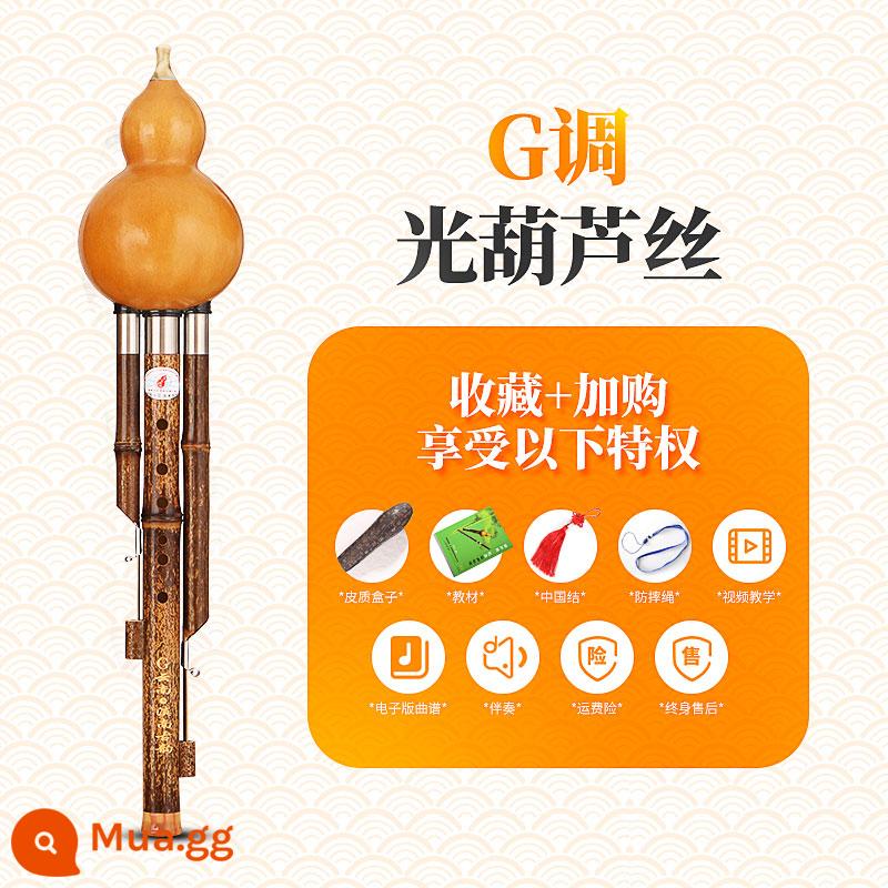 Gourd lụa giảm hiệu suất chuyên nghiệp B Điều chỉnh nhỏ D Điều chỉnh A Điều chỉnh F Điều chỉnh của Vân tay Vân sinh Trường học Tiểu học Vân sinh - Phím G loại hiệu suất