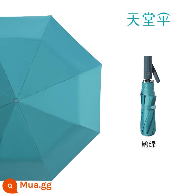 Paradise Umbrella Gấp Tự Động Di Động Vinyl Chống Nắng Dù Dù Dù Được Gia Cố Dày Nắng Dù Kép Nam Nữ - Tay cầm sọc xanh