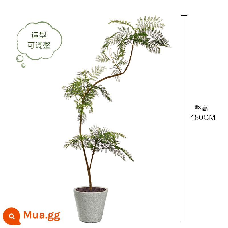 Màu xanh jacaranda mô phỏng cây xanh cao cấp ánh sáng sang trọng trong nhà trang trí phòng khách hoa sinh học giả cây trồng trong chậu lớn trên sàn - Chậu jacaranda xanh nhạt sang trọng 180CM-A + chậu sừng hoa văn trắng 26*26