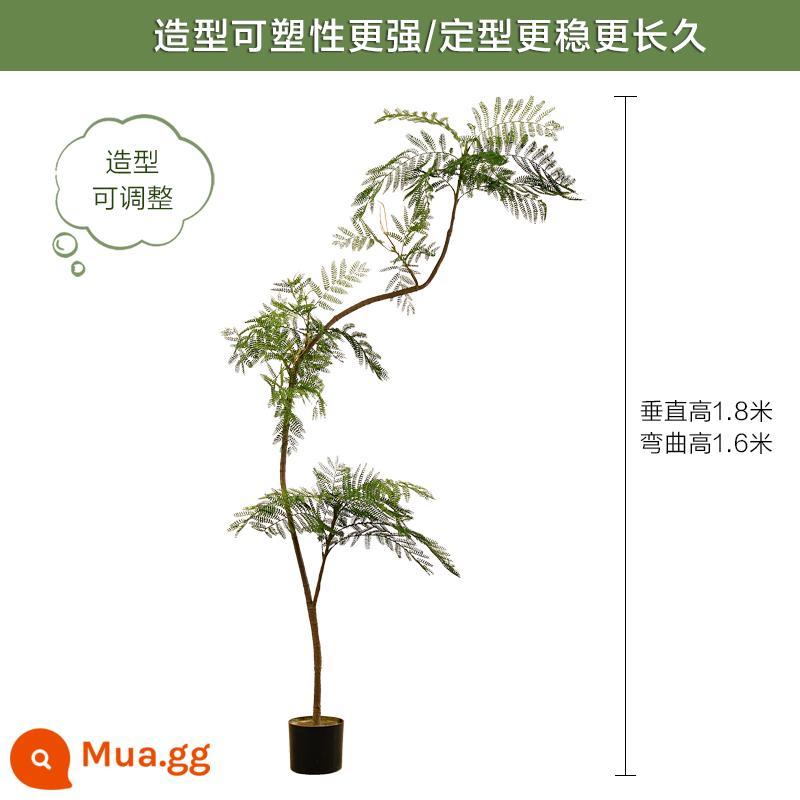 Màu xanh jacaranda mô phỏng cây xanh cao cấp ánh sáng sang trọng trong nhà trang trí phòng khách hoa sinh học giả cây trồng trong chậu lớn trên sàn - Jacaranda xanh nhạt sang trọng 160CM-A