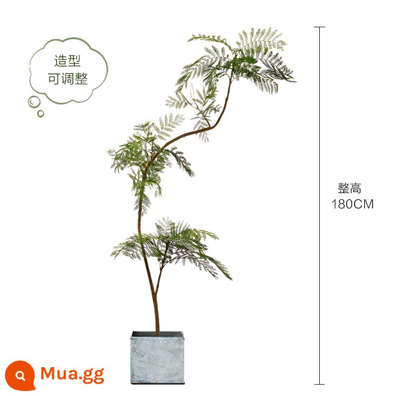 Màu xanh jacaranda mô phỏng cây xanh cao cấp ánh sáng sang trọng trong nhà trang trí phòng khách hoa sinh học giả cây trồng trong chậu lớn trên sàn - Jacaranda xanh nhạt sang trọng 180CM-A + chậu vuông xi măng 25*25