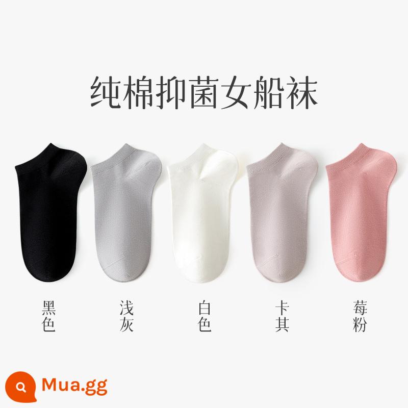 Tất, tất nữ, xuân hè, cotton nguyên chất, khử mùi, tất ống giữa nữ, xuân hè, tất cotton ngắn, tất vô hình bé gái, mùa hè - 5 đôi tất cotton nguyên chất: đen + xám nhạt + trắng + kaki + bột berry