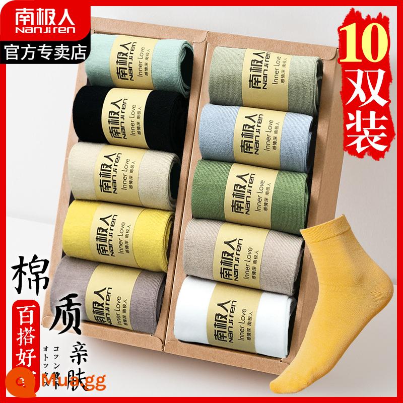 Vớ nam sợi cotton nguyên chất khử mùi thấm mồ hôi vớ ống giữa thu đông nam cotton dày ống ngắn thể thao - Mẫu nữ cotton nguyên chất "1 đôi 10 màu - tổng cộng 10 đôi"