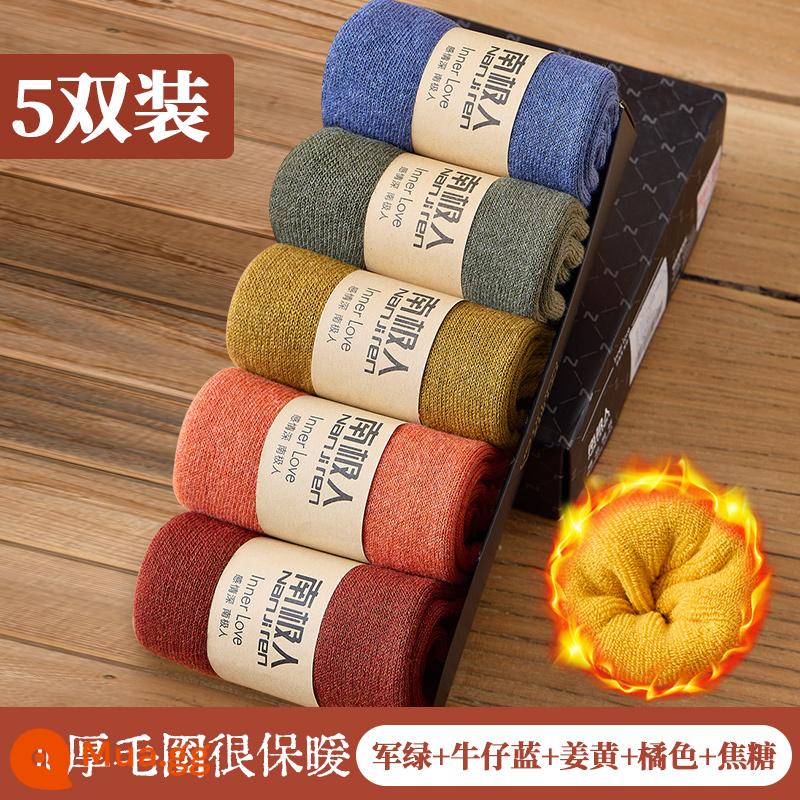 Vớ nam giữa tất ống mùa thu đông dày ấm khăn mùa đông đồng màu vớ cotton thể thao vớ bé trai - 5 Cặp: Ginger+Orange+Caramel+Quân đội xanh+Xanh lam