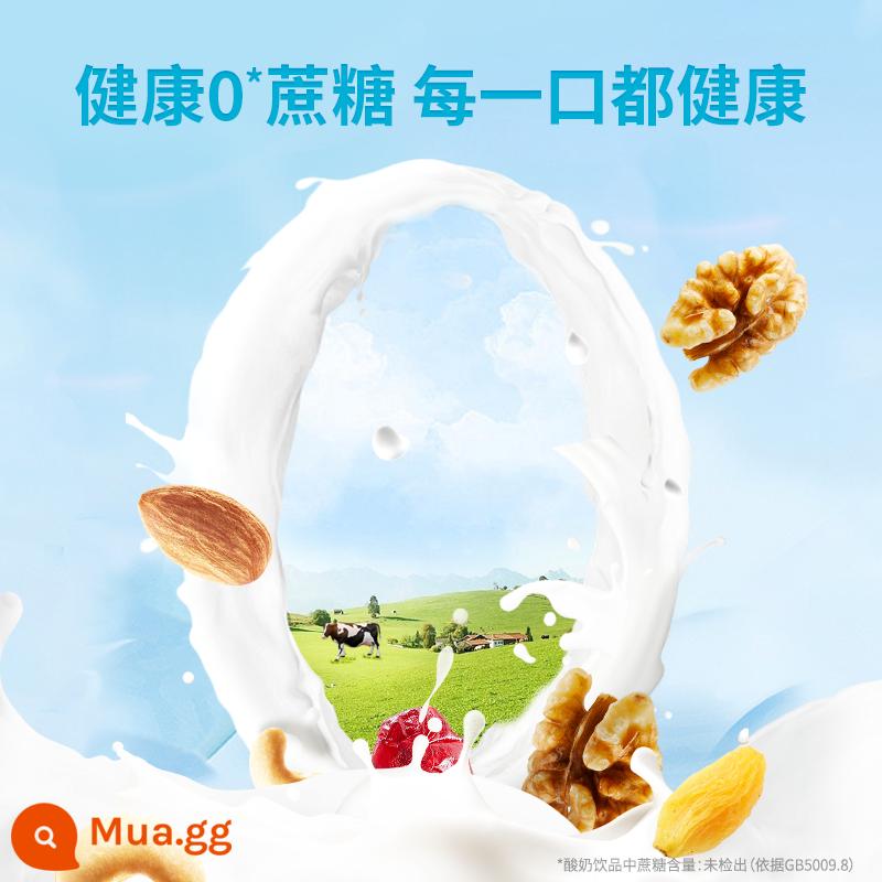 Nặng [Ba con sóc_Sữa chua khuấy 210g/6 cốc] Sữa chua đường mía 0 đồng nhãn hiệu Mengniu trộn với các loại hạt nguyên hộp - Cốc yến mạch trái cây (180g+30g)*6 cốc_cao canxi 0 sucrose