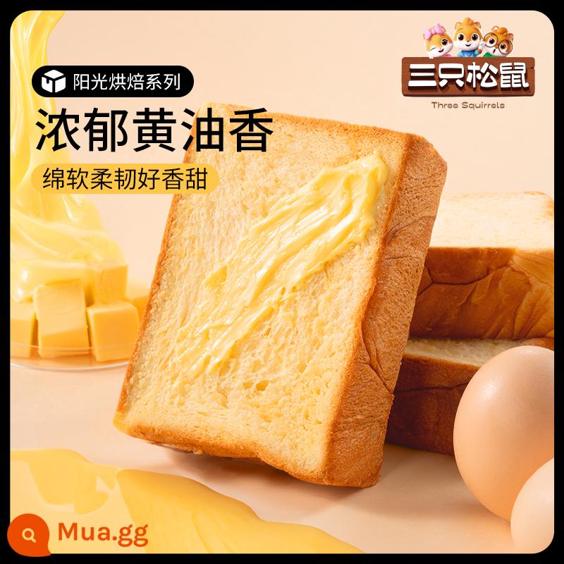 [Ba con sóc_Bánh mì nướng sữa cắt dày 520g] Đồ ăn nhẹ bánh ngọt ca cao kem Anjia - [Hương kem 520g/hộp, khoảng 7 túi] Sữa nhập khẩu Úc hàm lượng bổ sung 8%, Anchor cream chọn lọc