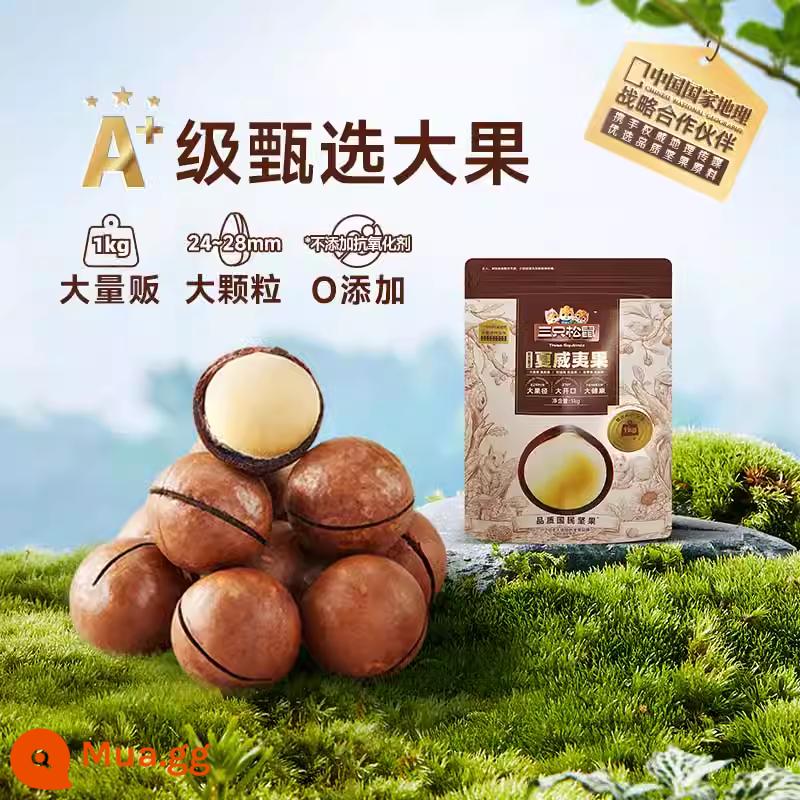 Hàng mới về [Three Squirrels_Macadamia Nuts 500g] Đồ ăn nhẹ bổ dưỡng dạng kem Trái cây và hạt sấy khô cực lớn - [A+ Selection-1 túi/tổng ​​cộng 2 pound] Mô hình đồng thương hiệu China National Geographic