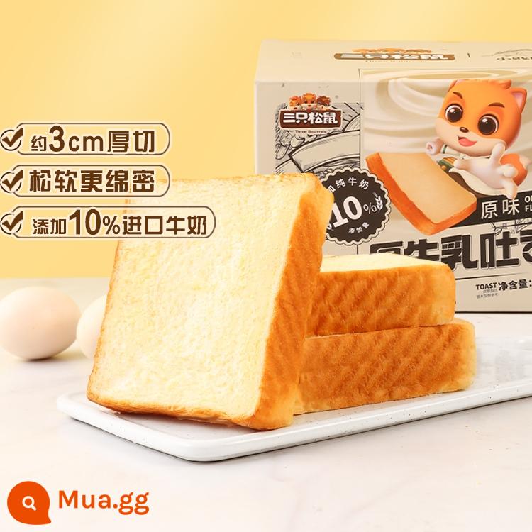 [Ba con sóc_Bánh mì nướng sữa đặc 480g] Bánh mì ca cao kem ăn sáng nguyên hộp Bánh cắt dày Đồ ăn nhẹ - [Mẫu Hot 480g/hộp × 2, khoảng 6 gói/hộp] Thêm 10% sữa nhập khẩu