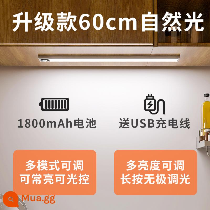 Edron cảm ứng cơ thể con người có thể sạc lại thanh ánh sáng tủ rượu đèn led tủ quần áo tổng thể tủ dài dải tủ giày không dây hút từ tính tự dính - Model nâng cấp thời lượng pin-ánh sáng tự nhiên 60cm [hai chế độ + điều chỉnh độ sáng]