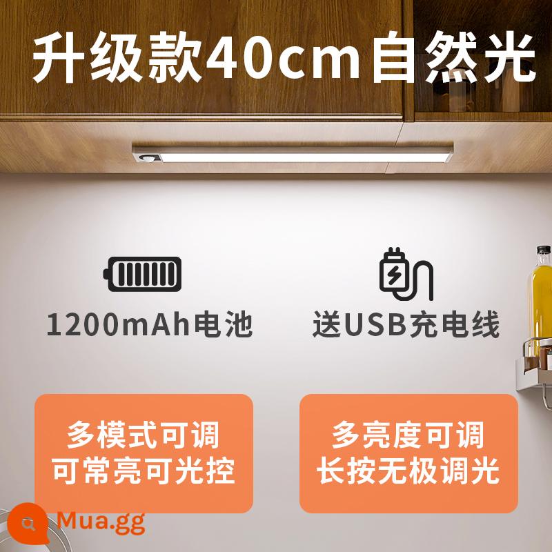 Edron cảm ứng cơ thể con người có thể sạc lại thanh ánh sáng tủ rượu đèn led tủ quần áo tổng thể tủ dài dải tủ giày không dây hút từ tính tự dính - Model nâng cấp thời lượng pin-ánh sáng tự nhiên 40cm [hai chế độ + điều chỉnh độ sáng]