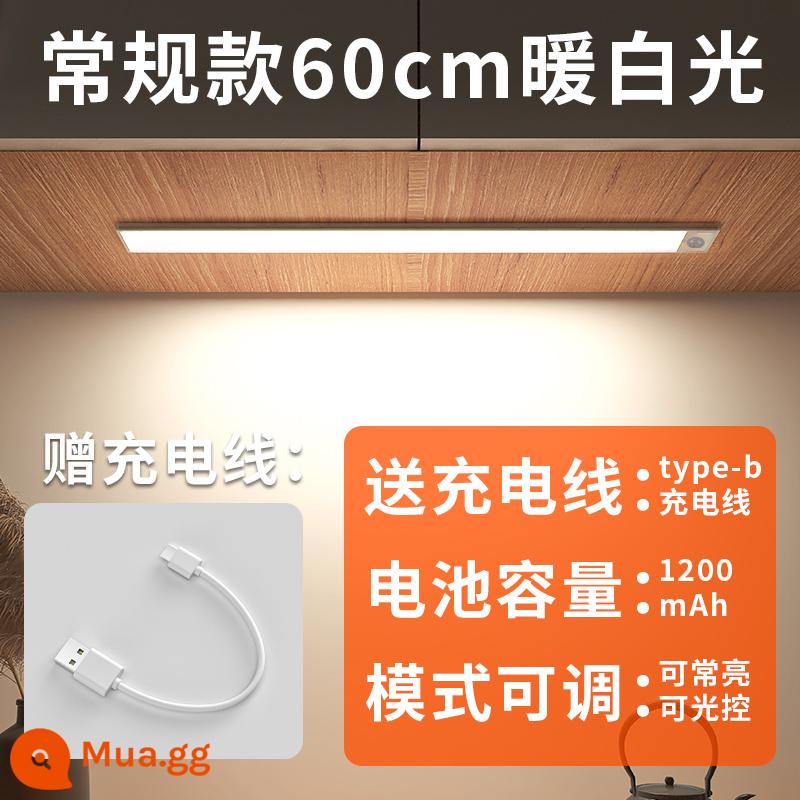 Edron cảm ứng cơ thể con người có thể sạc lại thanh ánh sáng tủ rượu đèn led tủ quần áo tổng thể tủ dài dải tủ giày không dây hút từ tính tự dính - Model siêu mỏng-Ánh sáng trắng ấm 60cm [hai chế độ + sạc/hút từ tính]