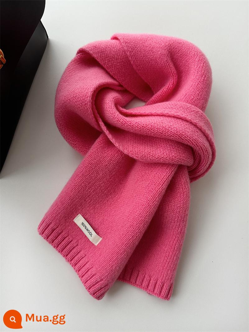 Khăn len cừu nguyên chất Úc chọn lọc 100% khăn cashmere mới màu trơn đa năng khăn quàng dệt kim ấm áp mùa đông dành cho nam và nữ - Bột W-Cornus [len nguyên chất của Úc]