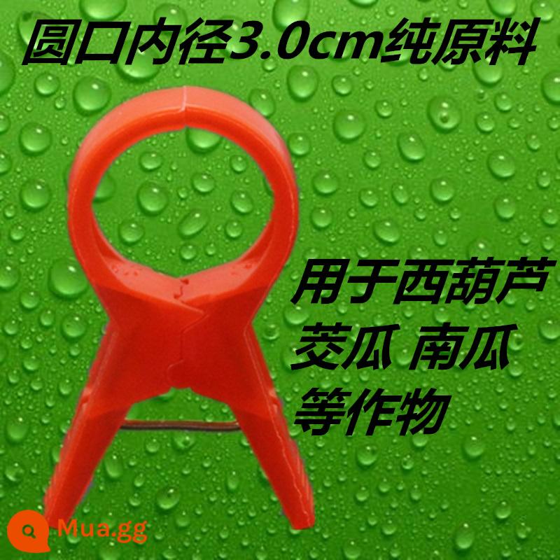 Nhà kính cà chua cà chua dưa chuột clip treo cây con clip dây nho buộc đặc biệt zucchini fu cây nho rau treo clip cây nho - Nguyên liệu thô nguyên chất 3.0 dày màu đỏ tươi 1000 miếng