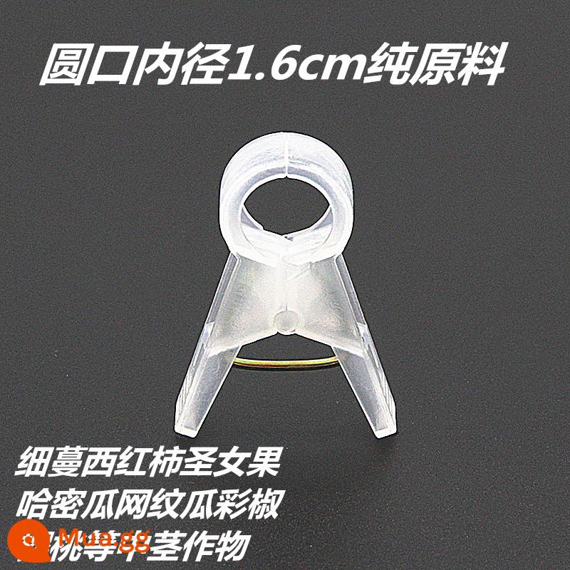 Nhà kính cà chua cà chua dưa chuột clip treo cây con clip dây nho buộc đặc biệt zucchini fu cây nho rau treo clip cây nho - 1.6 nguyên liệu thô dày và trong suốt 1000 miếng