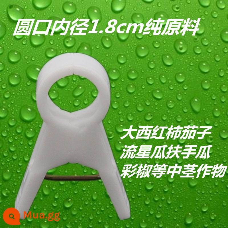 Nhà kính cà chua cà chua dưa chuột clip treo cây con clip dây nho buộc đặc biệt zucchini fu cây nho rau treo clip cây nho - 1.8 nguyên liệu thô đặc màu trắng sữa 1000 miếng