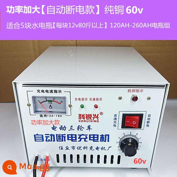 Xe ba bánh điện sạc pin nước pin 48v60v72v đồng nguyên chất cao cấp sạc nhanh - Tăng công suất [kiểu tắt nguồn tự động] đồng nguyên chất 60v