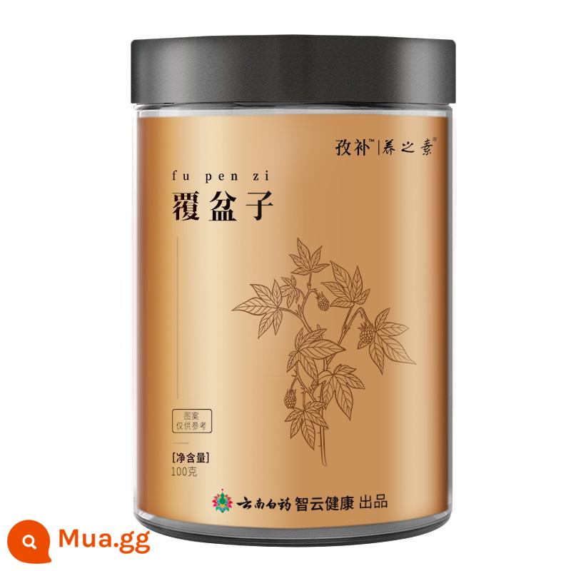 Cửa hàng hàng đầu Vân Nam Baiyao Shayuanzi Authentic Chính thức phù hợp Cuscuta Shawanzi Trà Shayuanzi Schisandra - Quả mâm xôi 100g