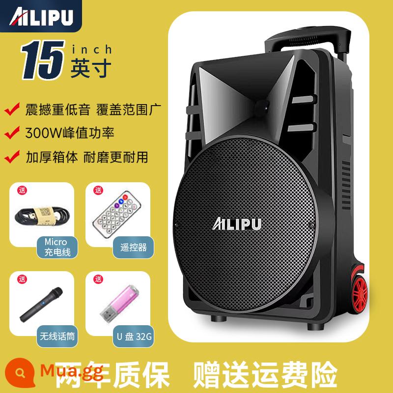 Ellip vuông dance âm thanh loa ngoài trời karaoke bluetooth micro loa siêu trầm âm lượng lớn loa xe đẩy di động - Phiên bản trên cùng 15 inch + micrô không dây + ổ flash USB 32G