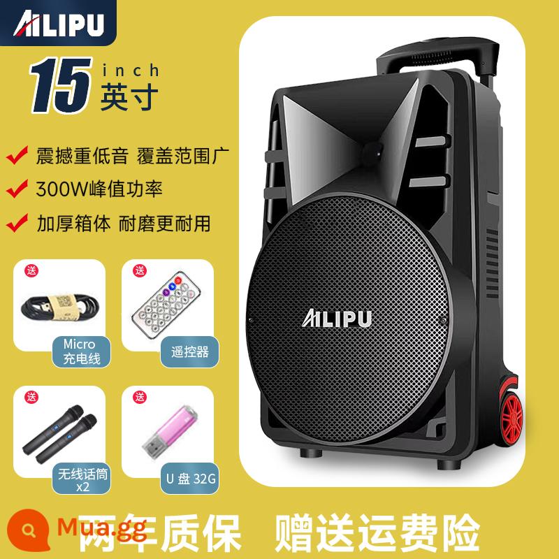 Ellip vuông dance âm thanh loa ngoài trời karaoke bluetooth micro loa siêu trầm âm lượng lớn loa xe đẩy di động - Micrô không dây phiên bản cao nhất 15 inch*Ổ đĩa flash USB 2+32G