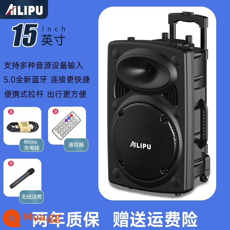 Ellip vuông dance âm thanh loa ngoài trời karaoke bluetooth micro loa siêu trầm âm lượng lớn loa xe đẩy di động - Phiên bản cao cấp 15 inch + điều khiển từ xa + micro không dây