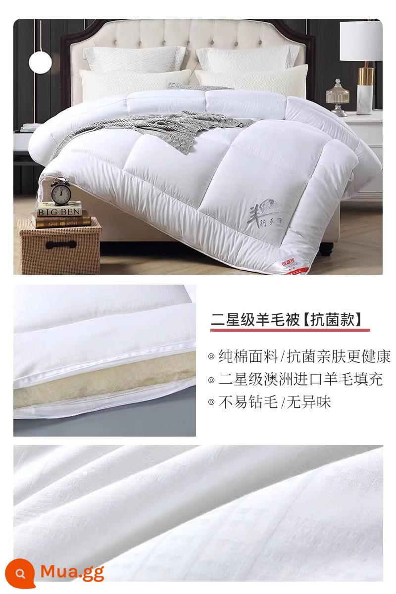 Hengyuanxiang chăn len nhập khẩu Úc đích thực 100 chăn len nguyên chất chăn mùa đông chăn cotton nguyên chất dày lõi chăn ấm áp mùa đông - Thêu Cừu Ấm Áp [Len Úc 100% 2 Sao] Len Kháng Khuẩn