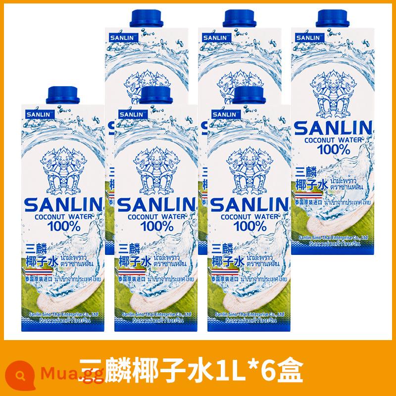 Được nhập khẩu nguyên chiếc từ Thái Lan Nước Dừa Sanlin Nước Dừa Sanqi Nước Dừa Xanh Nguyên Chất Nước Uống Cho Phụ Nữ Mang Thai Nguyên Chất FCL 1L - [Chai lớn] Nước dừa Sanlin 1L*6 hộp