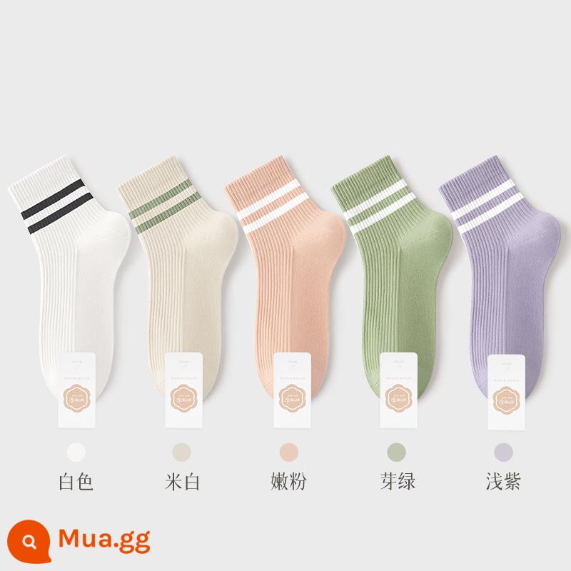 Tất Khử Mùi Chính Hãng 100% Xuân Thu Nữ Ống Ngắn Trung Mùa Hè Loại Mỏng Sợi Cotton Nguyên Chất Đen Trắng Nữ - Kết hợp bảy (trắng + trắng nhạt + hồng dịu + xanh nụ + tím nhạt)