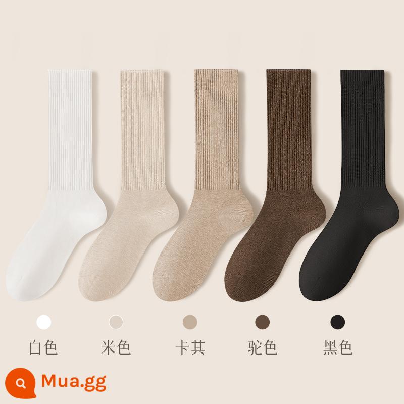 Vớ nữ ống giữa mùa thu đông vớ cotton nguyên chất kháng khuẩn khử mùi thấm hút mồ hôi ống dài vớ cotton dày màu đen vớ nữ mùa thu đông - Kết hợp mười lăm (trắng + be + kaki + lạc đà + đen)