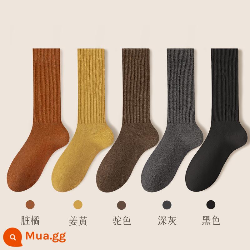 Tất nữ mùa thu đông tất giữa bắp chân 100% cotton chính hãng kháng khuẩn và khử mùi dày dài mùa xuân và mùa thu tất nữ màu đen - Kết hợp 21 (cam bẩn + nghệ + lạc đà + xám đen + đen)