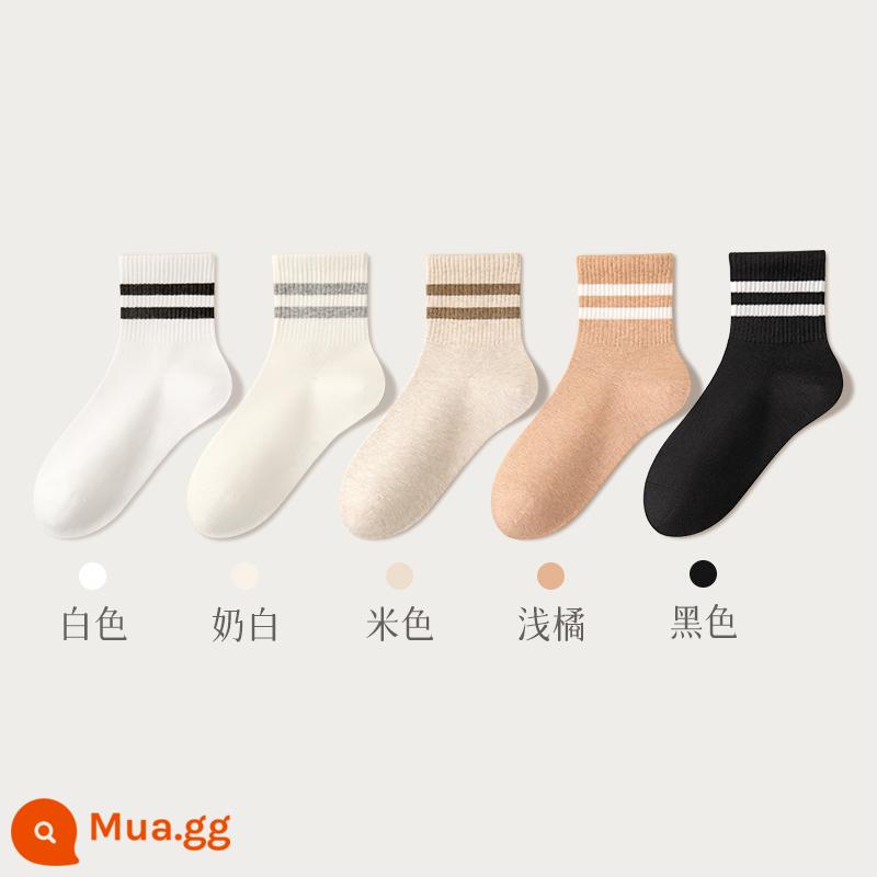 Tất nữ mùa xuân và mùa thu tất dài đến bắp chân 100% cotton chính hãng kháng khuẩn và khử mùi không xương tất sọc trắng thể thao mùa thu đông - Combo thấm mồ hôi 1 (trắng + trắng sữa + be + cam nhạt + đen)