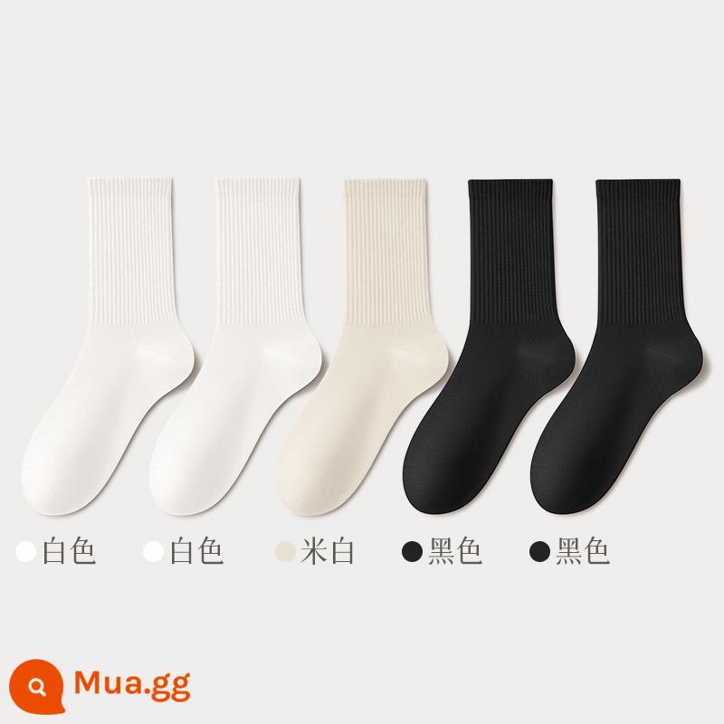 Vớ nữ ống giữa mùa hè cotton mỏng màu trắng thấm hút mồ hôi thể thao mùa hè đen không xương ống dài nữ xuân thu - Kết hợp chín (2 trắng + 2 đen + trắng nhạt)