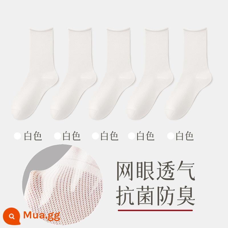 Vớ nữ mùa hè vớ bong bóng mỏng sợi cotton nguyên chất thấm hút mồ hôi mùa hè vớ lưới thoáng khí vớ ống giữa dành cho nữ - Kết hợp một (5 màu trắng)