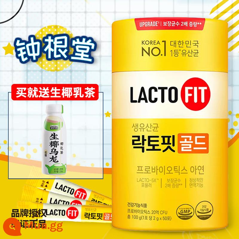 Men vi sinh LACTOFIT Zhonggentang của Hàn Quốc Le Duofei vi khuẩn axit lactic uống trẻ em và người lớn điều hòa đường tiêu hóa - xám nhạt