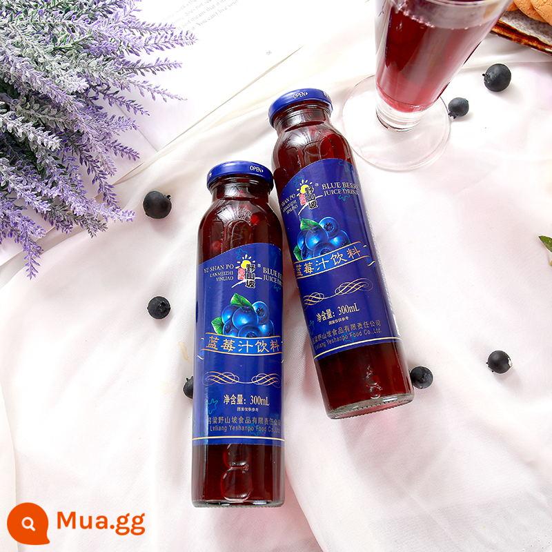 Nước ép việt quất Shanxi Specialty Luliang Wild Hillside Blueberry Beverage FCL 300ml*16 Nước ép thô đóng chai - 8 chai