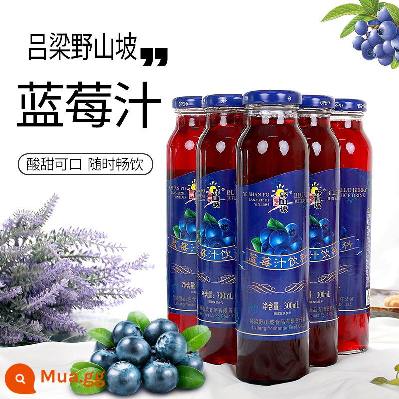 Nước ép việt quất Shanxi Specialty Luliang Wild Hillside Blueberry Beverage FCL 300ml*16 Nước ép thô đóng chai - 24 chai