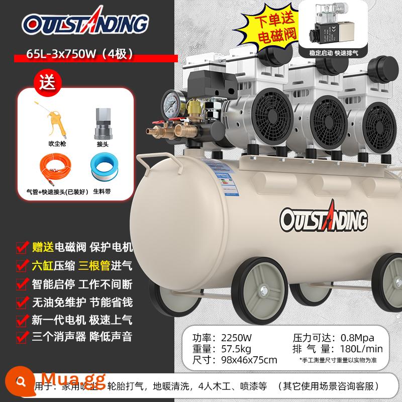 Otus Không Dầu Im Lặng Cao Cấp Không Khí 220V Công Nghiệp Nhỏ Không Khí Di Động Gỗ Không Khí Bơm - 65L [loại công nghiệp im lặng] 3X750W+ van điện từ.