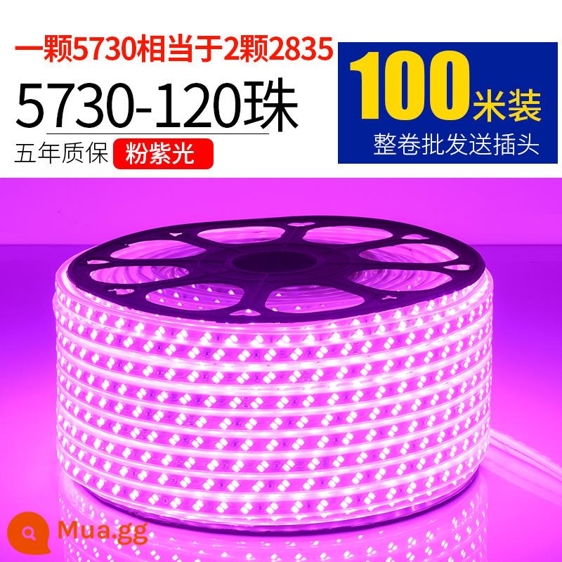 Dây Đèn LED 220V Ngoài Trời Chống Nước Tầng Hầm Đường Hầm Công Trường Chiếu Sáng Trang Trí Chiếu Sáng Dải Ánh Sáng Trắng 24V36V - 5730-120 ngọc trai hồng tím 100 mét miễn phí 10 phích cắm