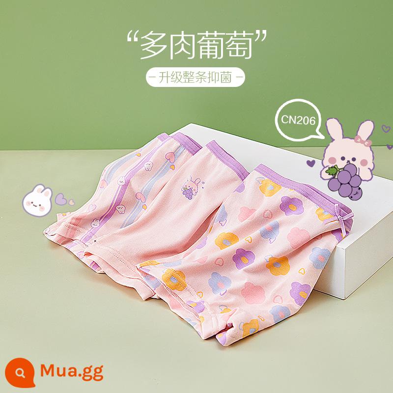 Quần đùi bé gái đậu đỏ quần đùi cotton nguyên chất không kẹp PP bé gái quần đùi tam giác kháng khuẩn cho bé gái trung và lớn - CN206 nho bùi