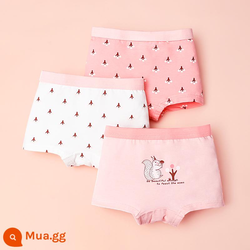 Quần đùi bé gái đậu đỏ quần đùi cotton nguyên chất không kẹp PP bé gái quần đùi tam giác kháng khuẩn cho bé gái trung và lớn - 712 con sóc dễ thương