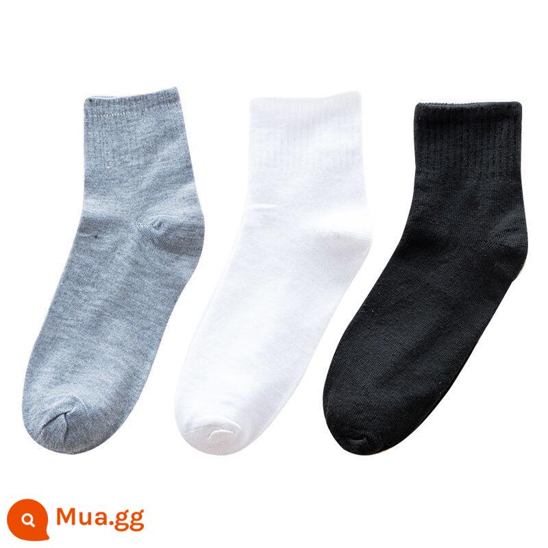 Những người đàn ông Sock 100 cặp nhà sản xuất Zhuji Yiwu đen của nam - [Giữa ống] Đen + Trắng + Xám (Ưu tiên sưu tầm và mua hàng)