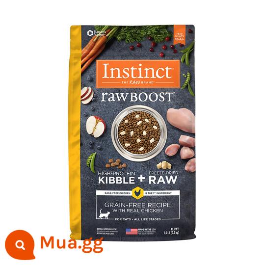 Thức ăn cho mèo Instinct Bailey Thịt gà đông khô tươi không hạt cổ điển Thức ăn cho mèo hoàn chỉnh giàu protein chất lượng cao dành cho mèo con - Gà tươi cổ điển 10 pound [100 đôi tiêu chuẩn kép] 4,53kg